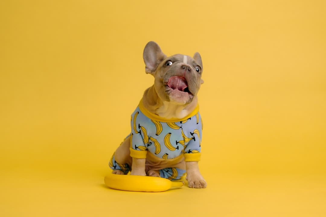 https://static.ws.126.net/163/frontend/images/2022/empty.png